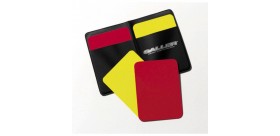 KARTKI SĘDZIOWSKIE + FUTERAŁ