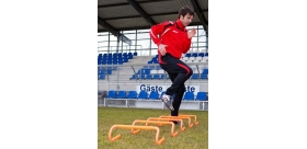 Płotki saller (5 szt) 15 cm