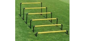 Zestaw płotków saller