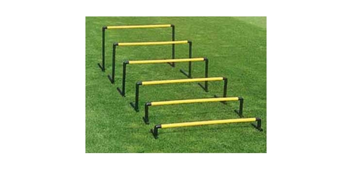 Zestaw płotków saller